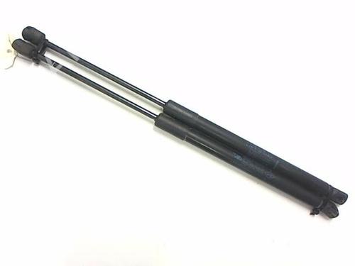 Used Tailgate lift support RENAULT CLIO III Grandtour (KR0/1_) 1.2 16V (KR0P) (101 hp) 20416471