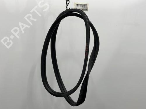Used Rubber door seal RENAULT CLIO III (BR0/1, CR0/1) 1.5 dCi (BR17, CR17) (86 hp) 20423041