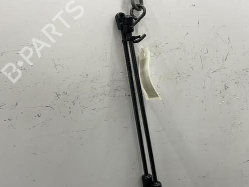 Tailgate lift support FORD C-MAX II (DXA/CB7, DXA/CEU) 1.6 TDCi | BP20449886C138 