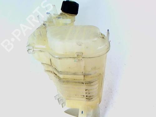 Used Expansion tank RENAULT LAGUNA III (BT0/1) 2.0 dCi (BT01, BT08, BT09, BT0E, BT0K, BT12, BT1C, BT1D,... (150 hp) 20444663