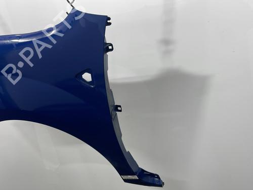 Left front fenders RENAULT KANGOO / GRAND KANGOO II (KW0/1_) 1.5 dCi 70 (KW0V, KW0A) | BP20654554C41 