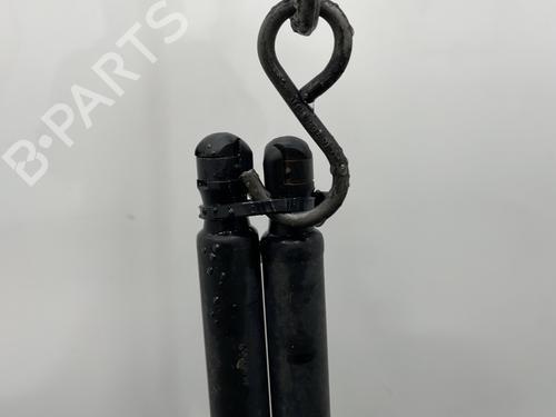Tailgate lift support LAND ROVER RANGE ROVER SPORT I (L320) 3.6 D 4x4 | BP25926662C138 