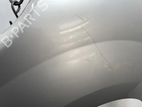 Left front fenders RENAULT KANGOO / GRAND KANGOO II (KW0/1_) 1.5 dCi 90 (KW05, KW08, KW0G, KW11) | BP29638990C41 