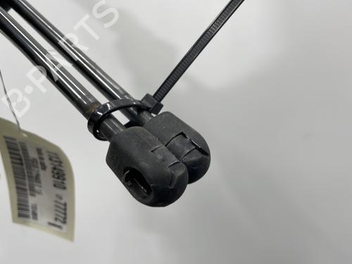 Tailgate lift support FORD FOCUS II (DA_, HCP, DP) 1.6 TDCi | BP29491183C138 