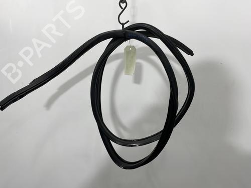 Gummiliste NISSAN QASHQAI II (J11, J11_) 1.2 DIG-T (115 hp) 31355458