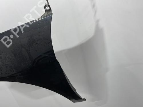 Left front fenders MERCEDES-BENZ B-CLASS Sports Tourer (W245) B 180 CDI (245.207) | BP20396022C41