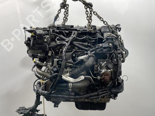 Engine FORD FIESTA VI (CB1, CCN) 1.6 TDCi | BP30822524M1