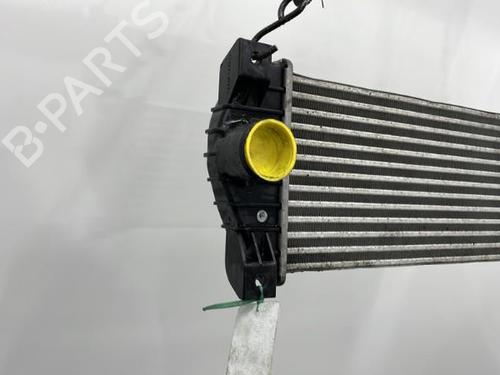Used Intercooler SSANGYONG ACTYON I 200 Xdi 4WD (141 hp) 20399929