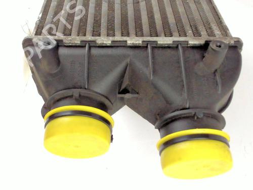 Used Intercooler Intercooler FIAT MULTIPLA (186_) 1.9 JTD 115 (115 hp) 20391247 20391247