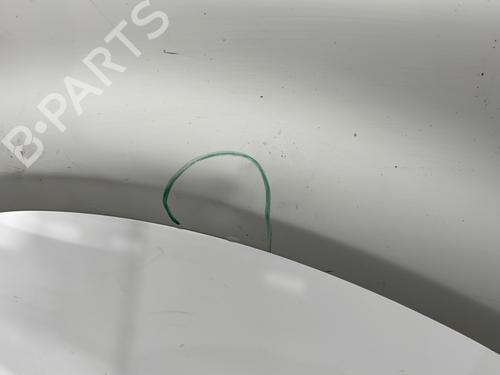 Left front fenders VW PASSAT B5 (3B2) 1.9 TDI | BP20428441C41 