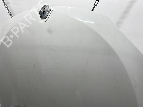Hood RENAULT MEGANE III Coupe (DZ0/1_) 1.9 dCi (DZ0N, DZ0J, DZ1J, DZ1K) | BP29514082C1 