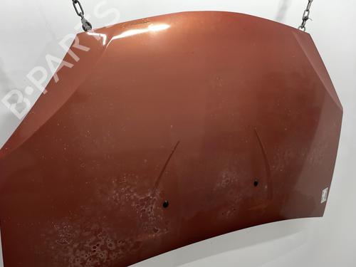 hood-dacia-sandero-2008-28962951 main image