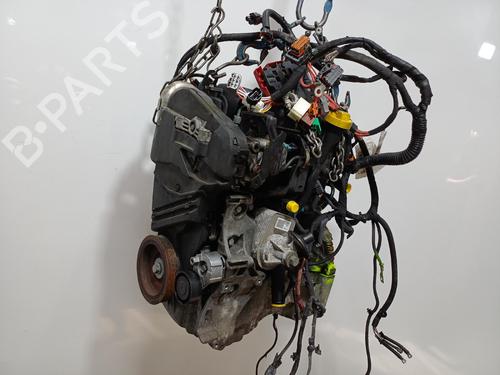 Engine RENAULT KANGOO BE BOP (KW0/1_)  | BP34336545M1  - Image 7