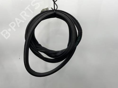 Used Rubber door seal PEUGEOT 207 (WA_, WC_) 1.4 16V (95 hp) 20387649