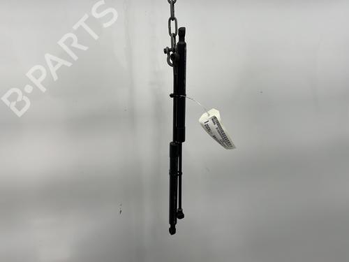 Used Tailgate lift support RENAULT ZOE (BFM_) ZOE (88 hp) 25122705