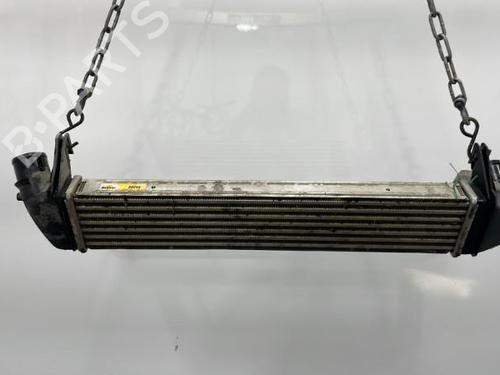 Used Intercooler Intercooler DACIA DUSTER (HS_) 1.5 dCi (86 hp) 20393582 20393582