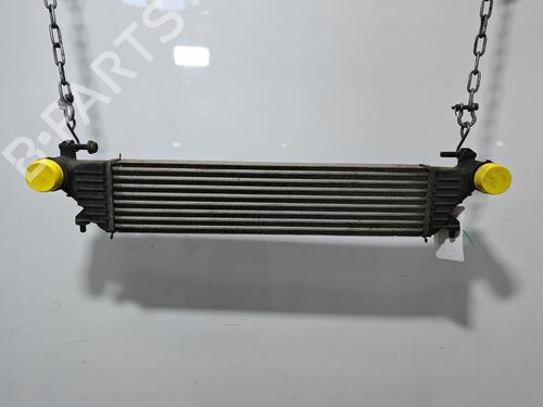 Used Intercooler Intercooler FIAT 500L (351_, 352_) 1.3 D Multijet (199LXY1A, 199LXY11) (84 hp) 39760365 39760365