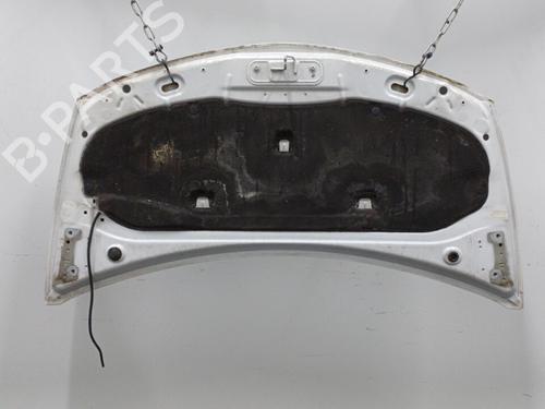 Used Hood Hood RENAULT CLIO III (BR0/1, CR0/1) 1.5 dCi (75 hp) 20401620 20401620