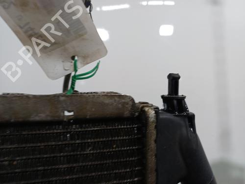 Used Water radiator Water radiator RENAULT SUPER 5 (B/C40_) 1.4 Cat (B/C/407) (58 hp) 35969586 35969586