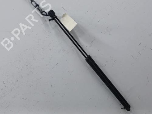 Tailgate lift support CITROËN C4 Picasso I MPV (UD_) 1.6 HDi | BP20424410C138 