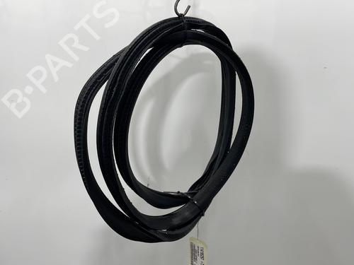 Rubber door seal MERCEDES-BENZ A-CLASS (W169) A 180 CDI (169.007, 169.307) | BP29760116C142 