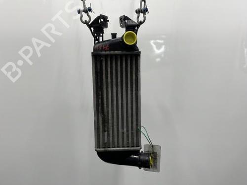 Used Intercooler Intercooler FORD KA (RU8) 1.3 TDCi (75 hp) 20445665 20445665