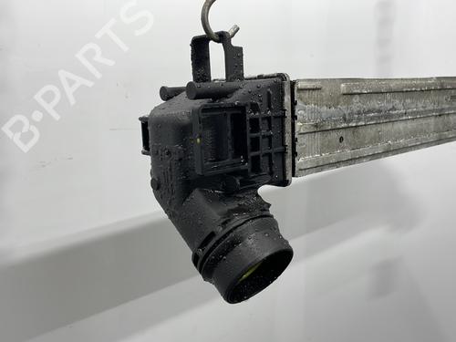 Intercooler RENAULT MEGANE CC (EZ0/1_) 1.9 dCi (EZ0J, EZ1S) | BP31139261M30