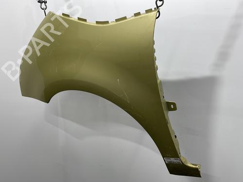 Left front fenders CITROËN C4 Picasso I MPV (UD_) 1.6 HDi | BP20424534C41 