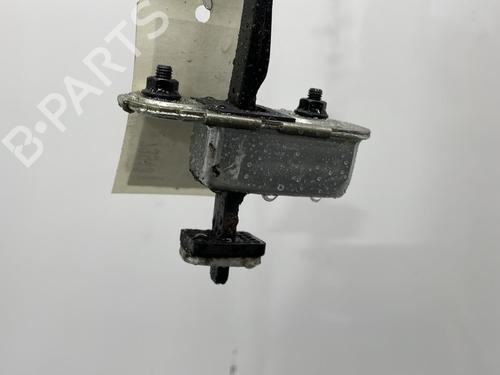 Hinge/Door check strap HYUNDAI i20 II (GB, IB) 1.2 | BP20386628C146
