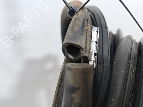 Gummiliste Gummiliste CITROËN AX (ZA-_) 10 (50 hp) 39486319 39486319