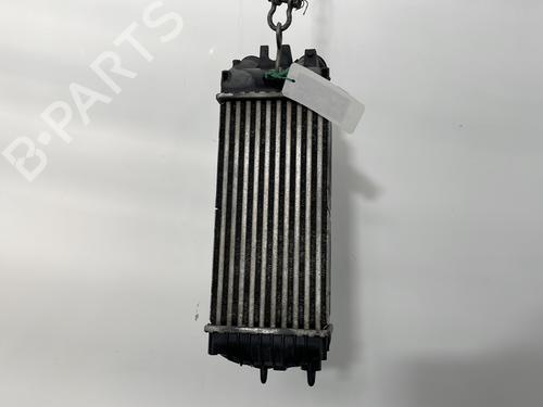 Intercooler PEUGEOT PARTNER MPV (5_, G_) 1.6 HDi 90 | BP30044924M30 