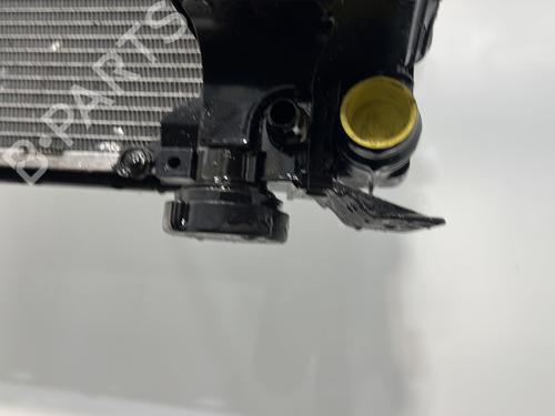 Water radiator BMW X5 (E53) 3.0 d | BP30602653M31
