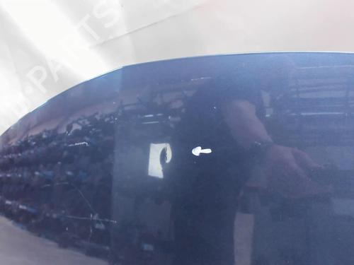 Hood RENAULT CLIO III (BR0/1, CR0/1) 1.5 dCi (C/BR0G, C/BR1G) | BP20409450C1 