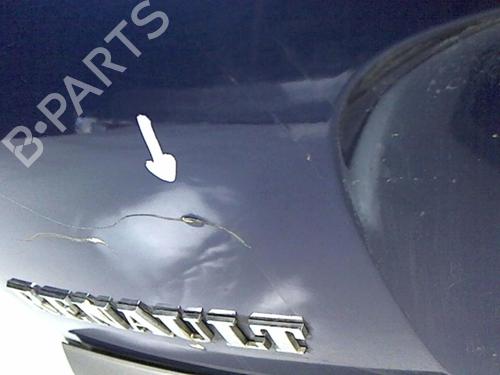 Tailgate RENAULT LAGUNA II Grandtour (KG0/1_) 1.9 dCi (KG0G) | BP20477067C6 