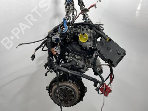Engine RENAULT TWINGO II (CN0_) 1.2 16V (CN04, CN0B) | BP29320429M1 