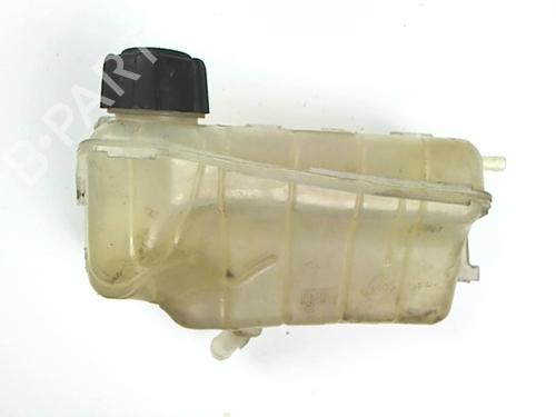 Used Expansion tank RENAULT KANGOO / GRAND KANGOO II (KW0/1_) 1.5 dCi 70 (KW0V, KW0A) (68 hp) 20448095
