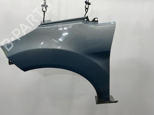 Left front fenders FORD FIESTA VI (CB1, CCN) 1.4 TDCi | BP20420525C41 