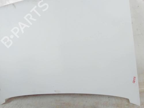 Hood RENAULT RAPID Box Body/MPV (F40_, G40_) 1.2 (F406, G40A) | BP20397821C1