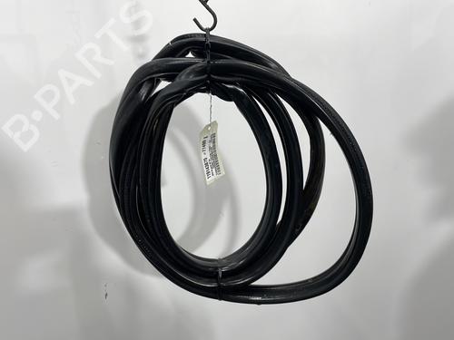 Gummiliste FORD TRANSIT CUSTOM V362 Van (FY, FZ) 2.2 TDCi (125 hp) 31631393