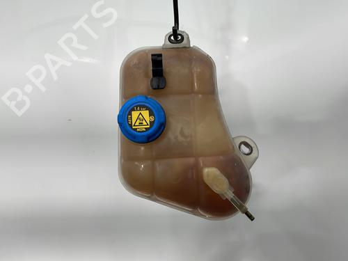 Used Expansion tank FIAT BRAVO II (198_) 1.9 D Multijet (198AXC1B) (150 hp) 29338379