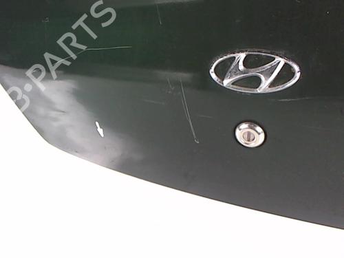 Tailgate HYUNDAI LANTRA II (J-2) 1.5 12V | BP21203815C6 