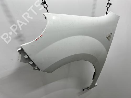 Left front fenders RENAULT KANGOO Express (FW0/1_) 1.5 dCi 85 (FW0K, FW0L, FW0B) | BP23779054C41 