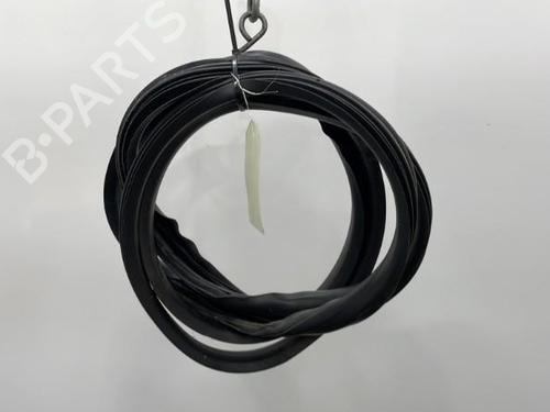 Used Rubber door seal RENAULT TWINGO II (CN0_) 1.2 (CN0D) (58 hp) 20419395