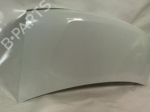 Tailgate RENAULT MEGANE I Classic (LA0/1_) 1.6 e (LA0F, LA0S) | BP20434729C6 