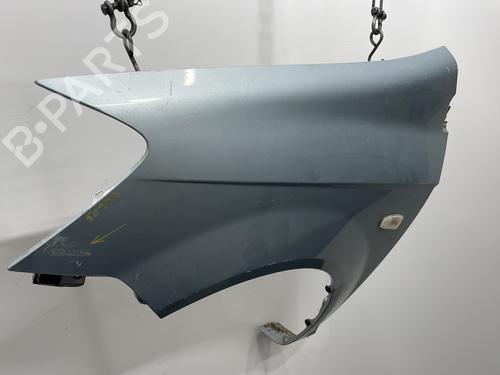 Left front fenders HYUNDAI GETZ (TB) 1.3 i | BP20415670C41 