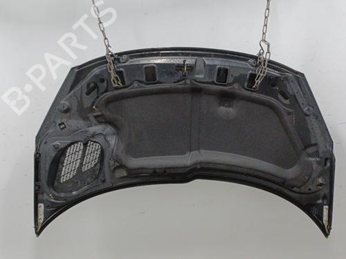 Capot Capot PEUGEOT 206+ (2L_, 2M_) 1.4 HDi eco 70 (68 hp) 20428159 20428159