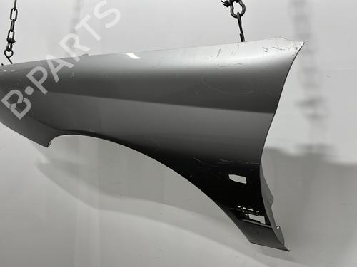 Left front fenders PEUGEOT 406 (8B) 2.0 HDI 110 | BP20428609C41 