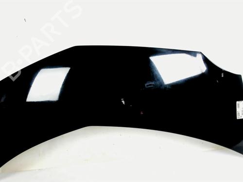 Used Hood RENAULT MODUS / GRAND MODUS (F/JP0_) 1.6 (JP03, JP0B, JP0U, JP0Y, JP1G) (112 hp) 20398889