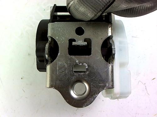 Rear right belt tensioner FIAT IDEA (350_) 1.9 JTD | BP20443877C90 