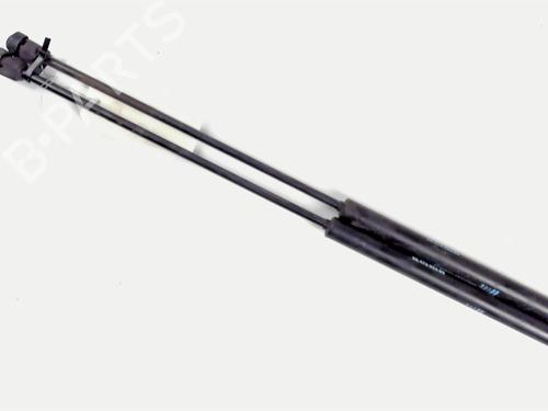 Tailgate lift support CITROËN C4 Coupe (LA_) 2.0 VTR | BP20421432C138 